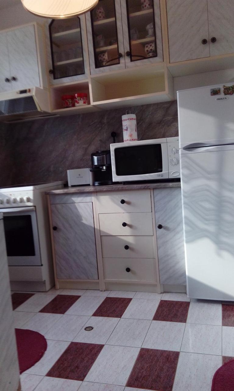 Guest House Lazar Raykov Ribarica Kültér fotó